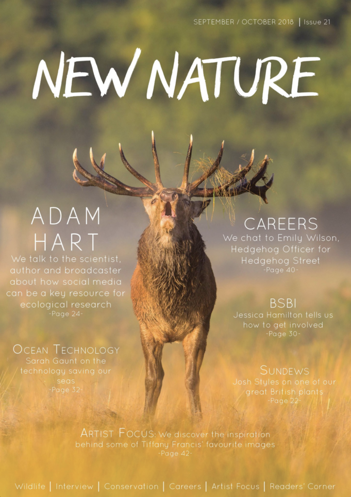 New Nature Magazine September 2018 published | Milton Keynes Natural ...