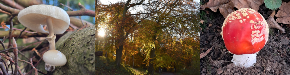 Milton Keynes Natural History Society