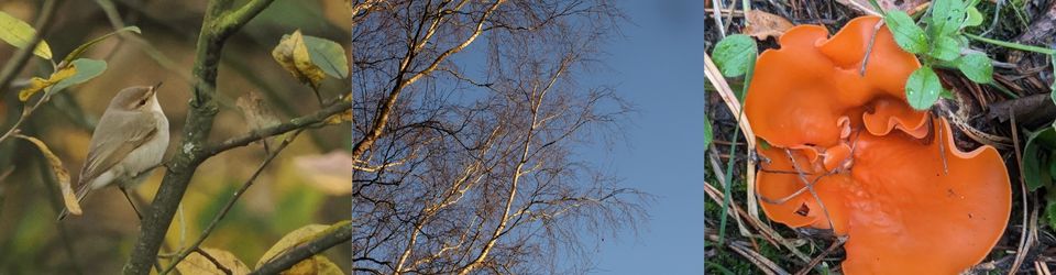 Milton Keynes Natural History Society